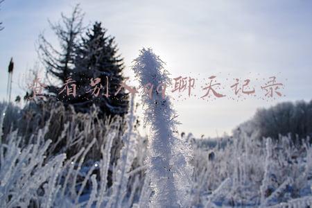 查看别人qq聊天记录