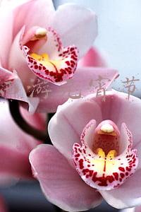 梦幻西游元宵节活动
