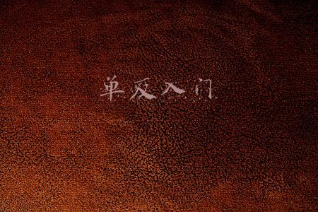 单反入门