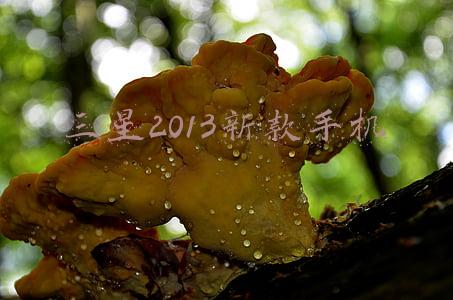 三星2013新款手机