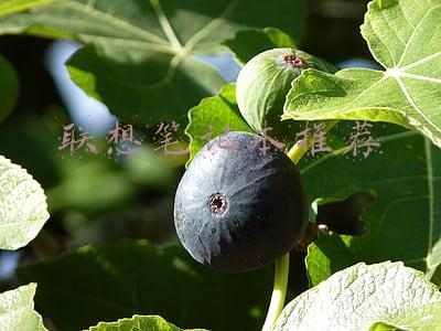 联想笔记本推荐