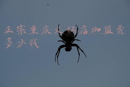 正宗重庆火锅蘸料-正宗重庆火锅