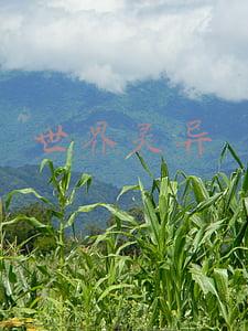 世界灵异