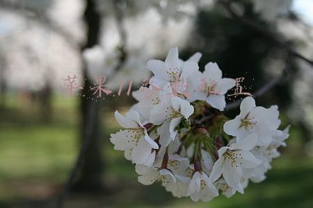 苹果11参数配置pro(从iPhone11换到13pro，没想到最大的提升不是拍照，居然是续航)