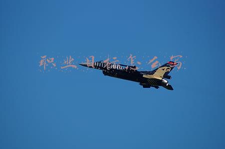 职业目标怎么写