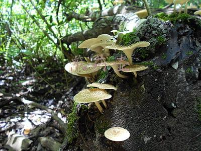 煎药壶什么材质的最好(煲中药，你家的煲药器具选对没？)