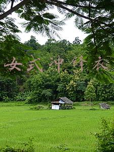 女式冲锋衣