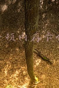 金士顿128g内存卡价格(金士顿V90级存储卡评测：每G接近10块依然超值？)