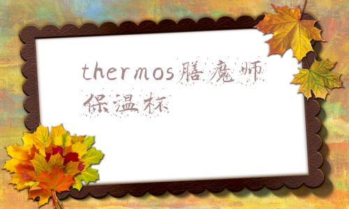thermos膳魔师保温杯
