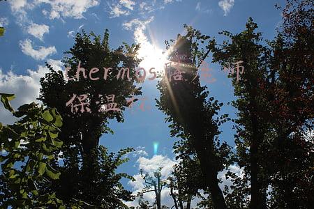 thermos膳魔师保温杯