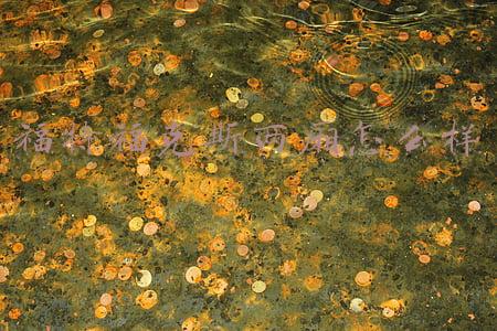 福特福克斯两厢怎么样