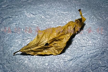 福特福克斯两厢怎么样