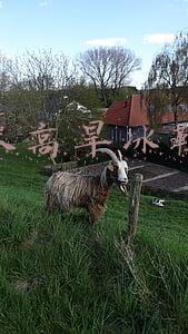 米高旱冰鞋价格(鞋还在，人没了！杭州又一家培训机构突然关门，学员无法退费只能半夜抢课)