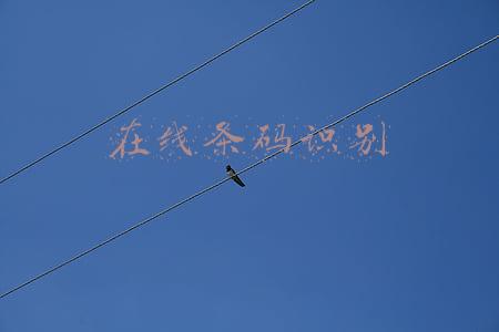 在线条码识别
