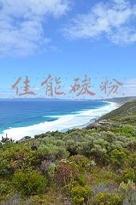 佳能碳粉