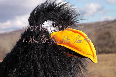 workstation服务无法启动