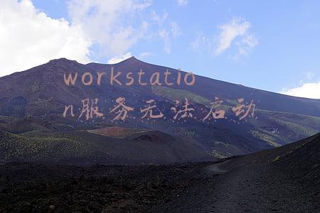 workstation服务无法启动