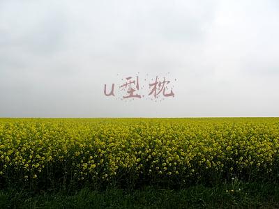 u型枕