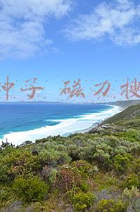 bt种子 磁力搜索