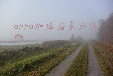 加盟oppo店需要多少钱-加盟oppo专卖店多少钱