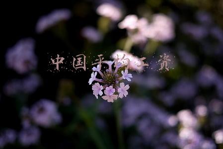 中国平均工资2018(官方公布数据，去年年平均工资出炉！你达标了，还是拖后腿了？)