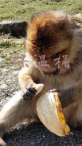 保温桶十大品牌(2021年度保温板热门品牌榜)