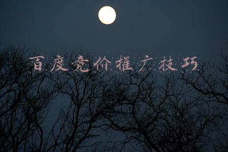 百度竞价推广出价技巧(百度竞价推广关键词出价技巧)