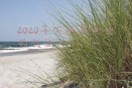 2020年下半年黄金的预测