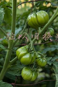 电脑以旧换新