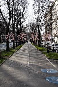 档案软件