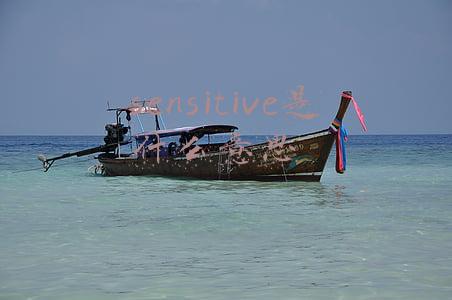 sensitive是什么意思