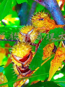 流氓软件清理大师官网(80款流氓软件上“黑榜” 猎豹清理大师帮你清除)