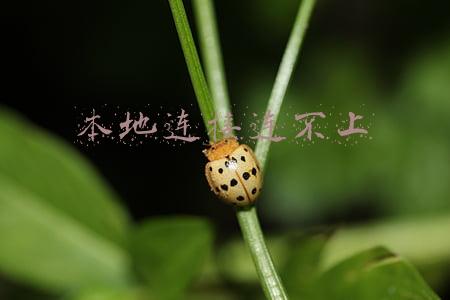 本地连接连不上怎么回事(相隔半小时，官场夫妻同日落马！工作轨迹时有重合)