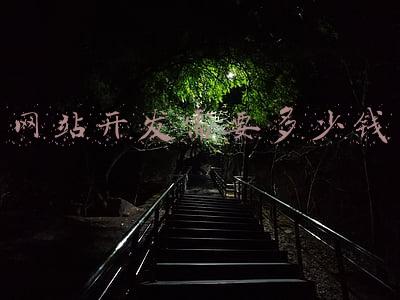 网站开发需要多少钱