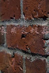 家用灭蚊器排行榜(用过50个去蚊虫的产品，我们才敢掏出这份驱蚊杀蟑红黑榜)