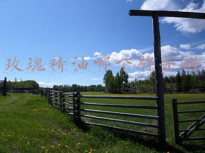 玫瑰精油那个牌子好(卵巢早衰危害大，逸红颜玫瑰精华油全新升级护卫女性卵巢健康)