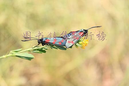 图书销售排行榜