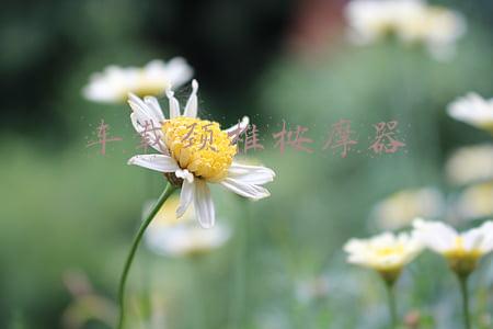 车载颈椎按摩器