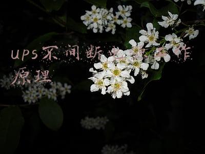 ups不间断电源作用是什么(什么是UPS不间断电源？)