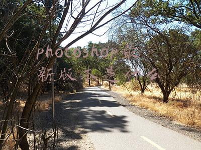 photoshop最新版本是什么