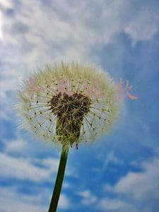 苹果退款申请(再次双标？苹果官网无理由退货期限变了，国行无缘)