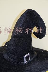 宠物店狗狗多少钱一只_宠物店狗