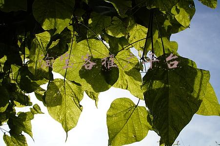 淘宝客推广平台