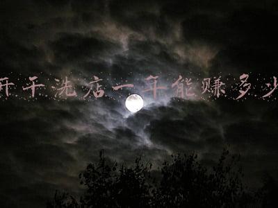 开干洗店一年可以赚多少钱_开干洗店一年能赚多少钱不敢相信