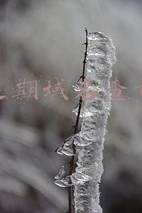 过期域名查询