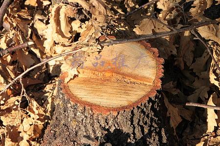 药品推广策略(中药配方颗粒学术推广\u0026#34;三步曲\u0026#34;)