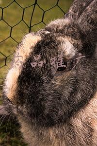 药品推广方案(关于推动原料药产业高质量发展实施方案的通知（发改产业〔2021〕1523号）)