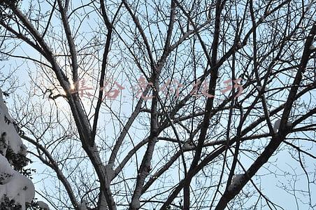 开盘集合竞价技巧(A股最好的“集合竞价”方法，每日开盘100%就抓住涨停板，巴菲特、索罗斯都叹为观止！)