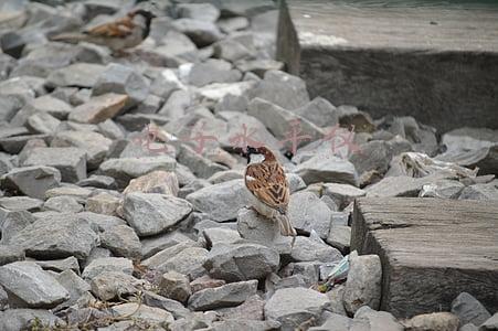 电子水平仪多少钱(可放进口袋，中山企业研发出“最小激光水平仪”)