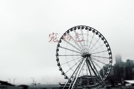 宠物包图片(一周新包 | FENDI宠物包，CELINE老花帆布小硬箱)